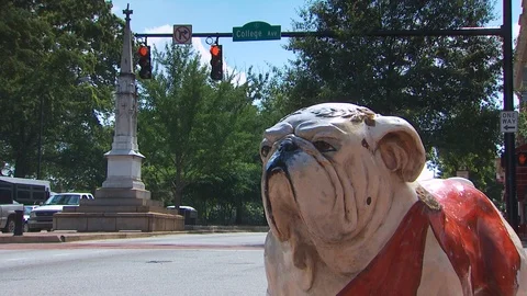 Raleigh NC Stock Footage 123942278