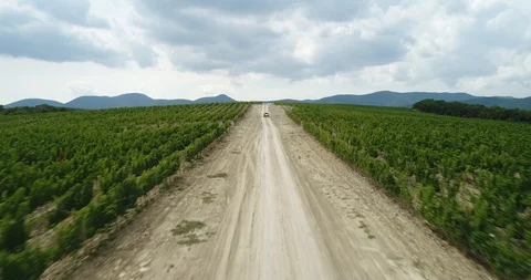 Rally, buggy, off-road. The mountains Stock Footage 85744188
