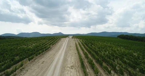 Rally, buggy, off-road. The mountains Stock Footage 85744760