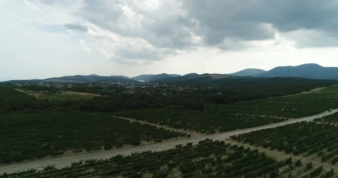 Rally, buggy, off-road. The mountains Stock Footage 85749739