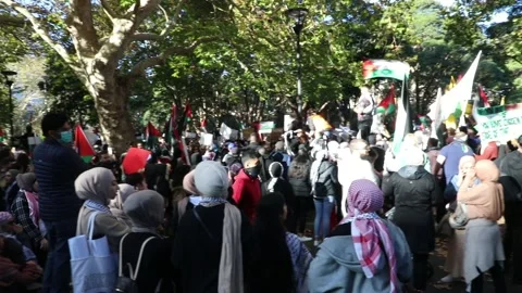 Rally for Palestine Stock Footage 154893351