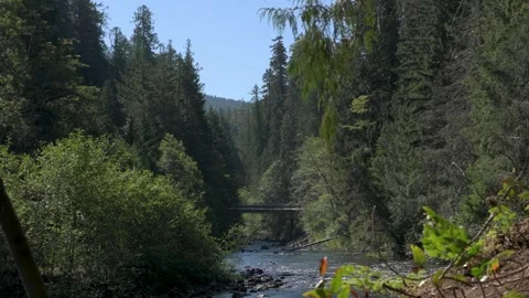 Ralph River Stock Footage 345526424