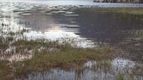 Ralph River Water Reflections Stock Footage 345526248