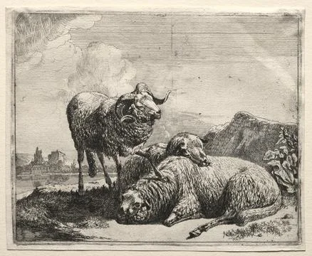 Ram and Two Sheep, 1665. Johann Heinrich Roos (German, 1631-1685). Etching; Stock Illustration