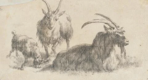 Ram, Ewe and Kid. Marcus De Bije (Holland, 1639-1688). Holland, 17th centur.. Stock Illustration