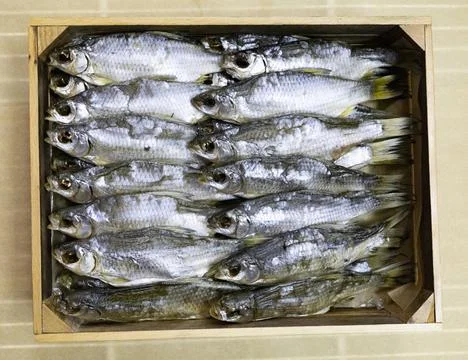 Ram, fish in a box, seafood. Stock Photos