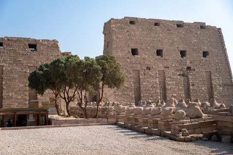Ram-headed sphinxes on enter in Karnak Temple. Luxor, Egypt Stock Photos