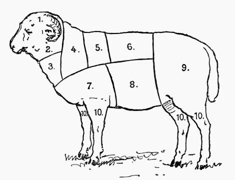 Ram (illustration) Illustrazione stock
