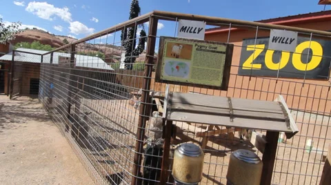 Ram Man Stock Footage 30370234