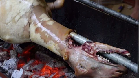 A ram or sheep on a spit. Видео 105352732