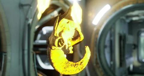 Ram skull floats in zero gravity aboard the International Space Station Stock Illustration