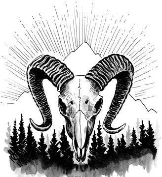 Ram skull Stock Illustration