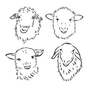 Ram standing side view. Ink black and white doodle drawing in woodcut outline Stock Illustration