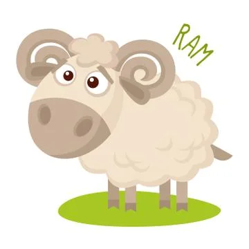 Ram Vector illustration isolated Stock Illustration