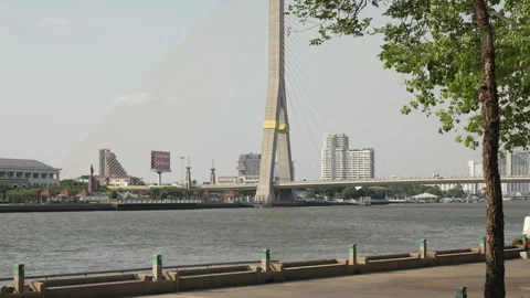 Rama VIII Bridge from Edge with Tree and Long Tailed Boat Vídeo Stock 242015379