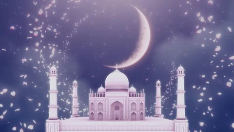 Ramadan Cycle petals Stock Footage 263196002