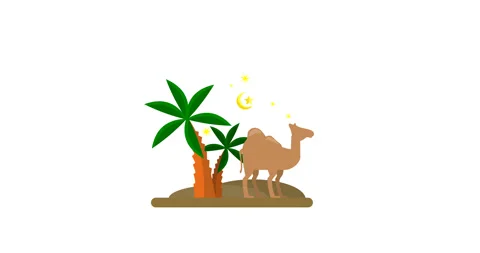 Ramadan Field Concept Animation Isolated Stock Footage 276900411