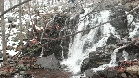 Ramapo Reservation Stock Footage 143740694