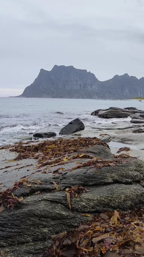Ramberg Lofoten Stock Footage 269528736