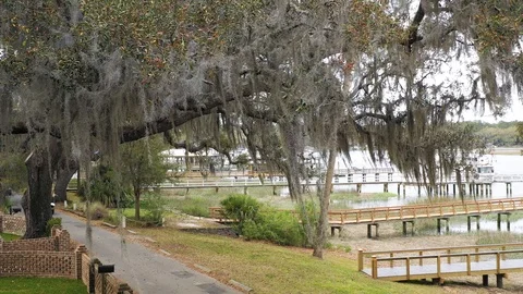 Ramblin Reck on Isle of Hope Stockbeeldmateriaal 105583653