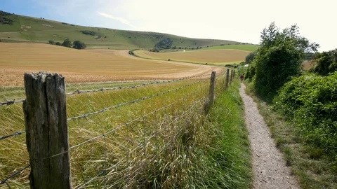 Rambling on the South Downs, England Stock Footage 115338052