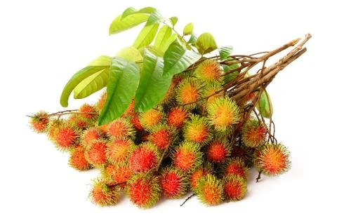 Rambutam Stock Photos