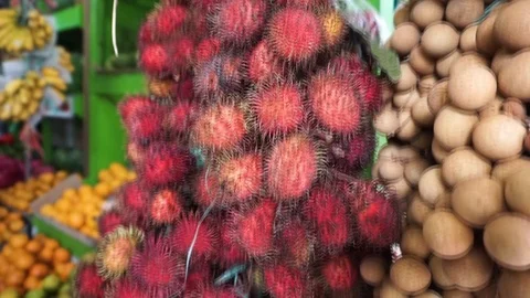 Rambutan Stock Footage 103068772