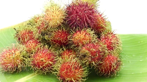 Rambutan Stock Footage 118264745