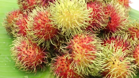 Rambutan Stock Footage 118264814