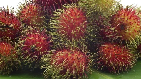 Rambutan Stock Footage 118264829