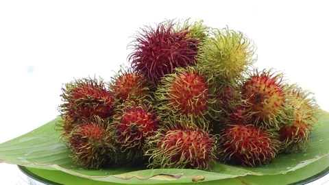 Rambutan Stock Footage 118264899