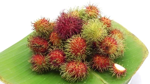Rambutan Stock Footage 118264927
