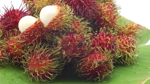 Rambutan Stock Footage 118264952
