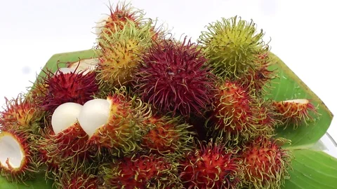 Rambutan Stock Footage 118265002