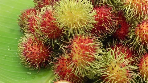 Rambutan Stock Footage 118265041