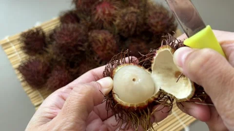 Rambutan Fruit 스톡 동영상 245769032