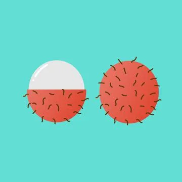 Rambutan Fruit. Stock Illustration