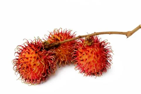 Rambutan fruit Stock Photos