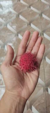 Rambutan fruit Stock Photos
