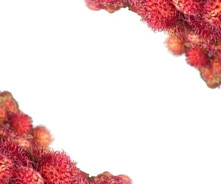 Rambutan Fruit Stock Photos