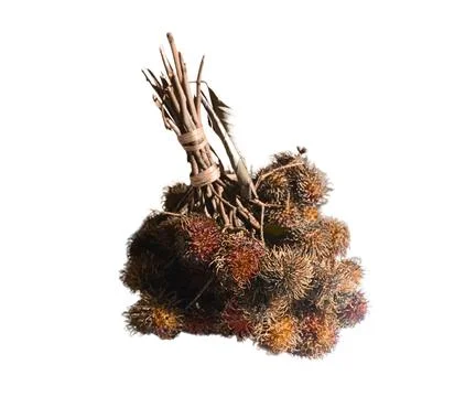 Rambutan Fruit Stock Photos