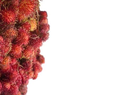 Rambutan Fruit Stock Photos