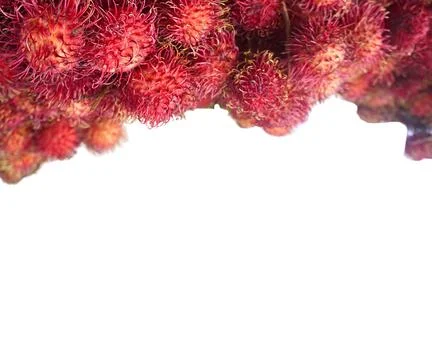 Rambutan Fruit Stock Photos