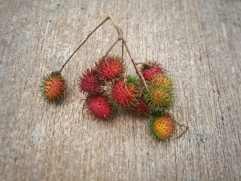 Rambutan Fruit Stock Photos