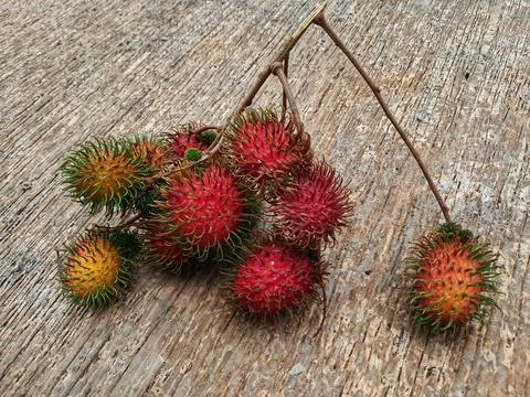 Rambutan Fruit Stock Photos