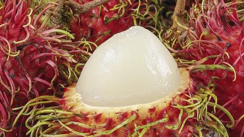 Rambutan fruit on white background pan zoom out Stock Footage 247251127