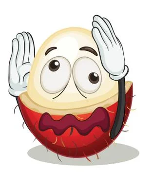 Rambutan Stock Illustration