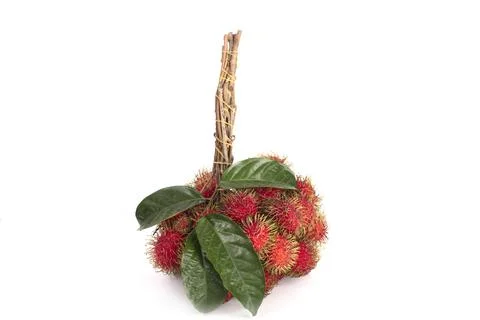 Rambutan isolated on white Stock Photos