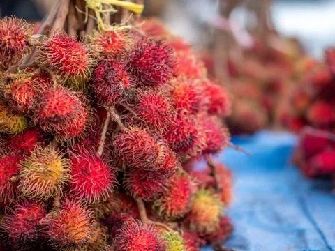 Rambutan lychee. Stock Photos
