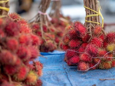 Rambutan lychee. Stock Photos